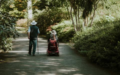 Elderly couple on the walk through the park